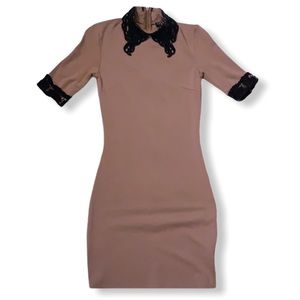 Tan Bodycon Dress with black lace detailing